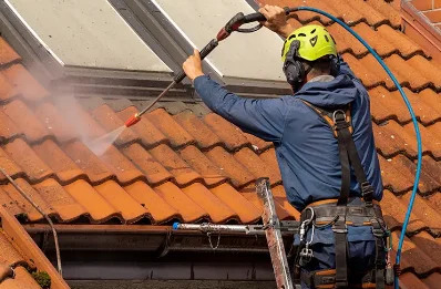 Démoussage et hydrofuge de toiture à Louailles